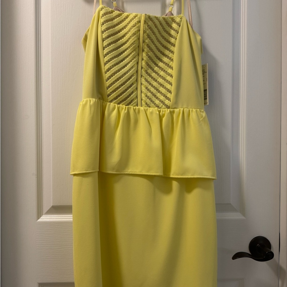 NWT Gianni Bini Merriweather Peplum Dress Size 6